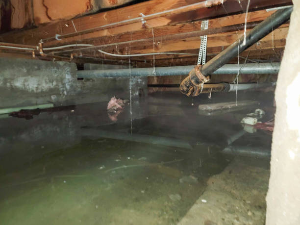 Best Sewage cleanup and water damage restoration  in Kaunakakai, HI