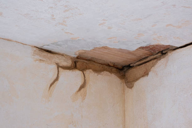 Best Commercial water damage restoration  in Kaunakakai, HI