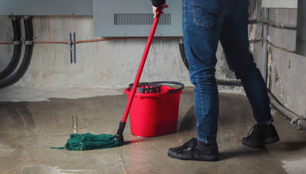  Kaunakakai, HI Water damage restoration Pros