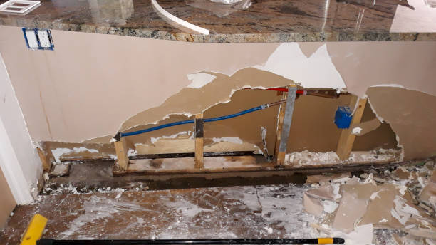 Best Water damage restoration near me  in Kaunakakai, HI