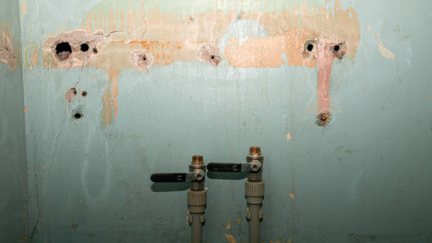 Best Ceiling water damage repair  in Kaunakakai, HI