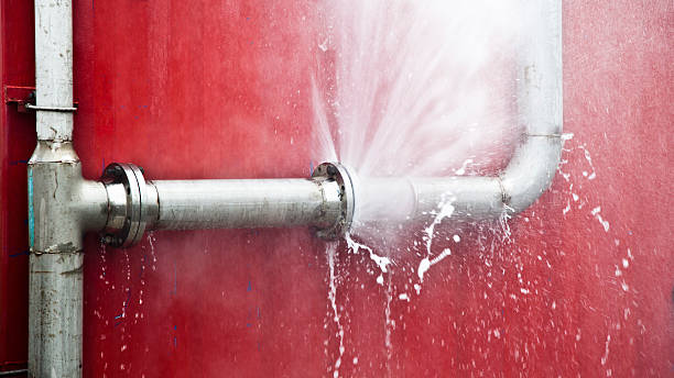 Best Mold removal after water damage  in Kaunakakai, HI